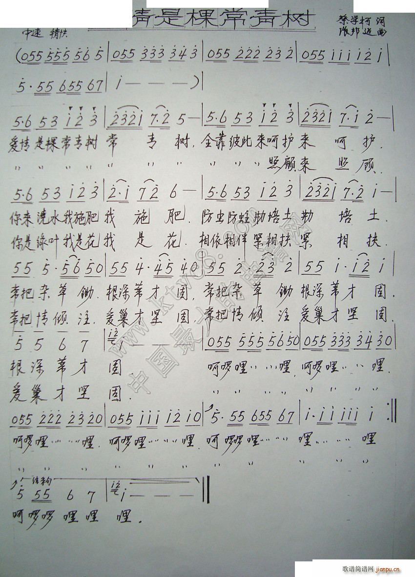 ǿó(ָ)1