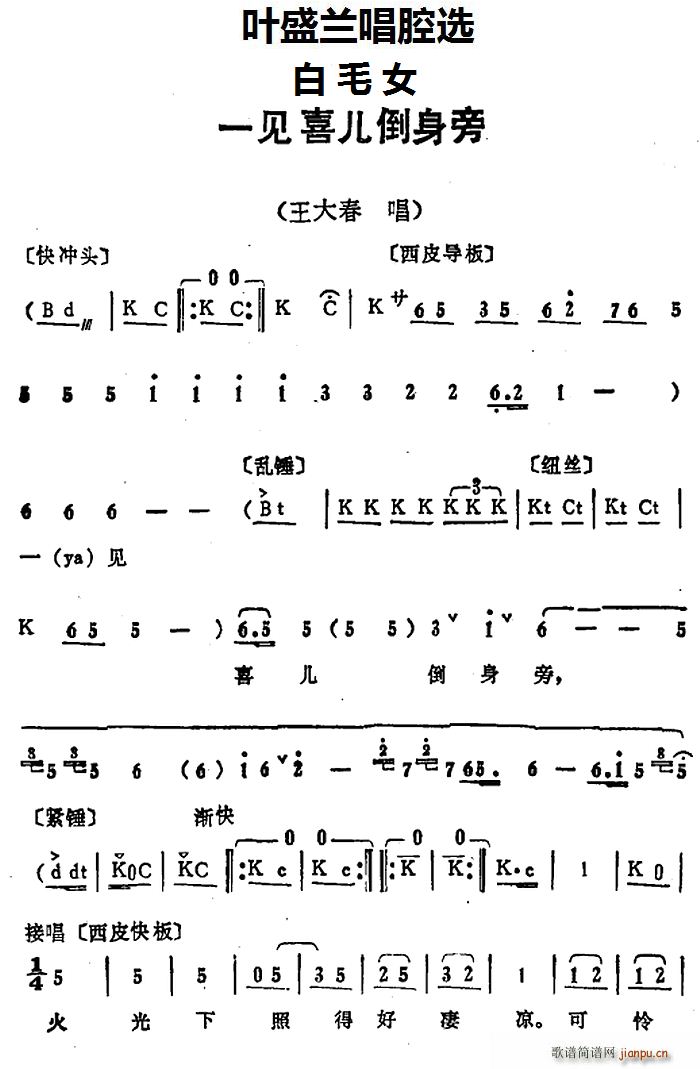 Ҷʢǻѡ һϲ ëŮ 󴺳(ʮּ)1