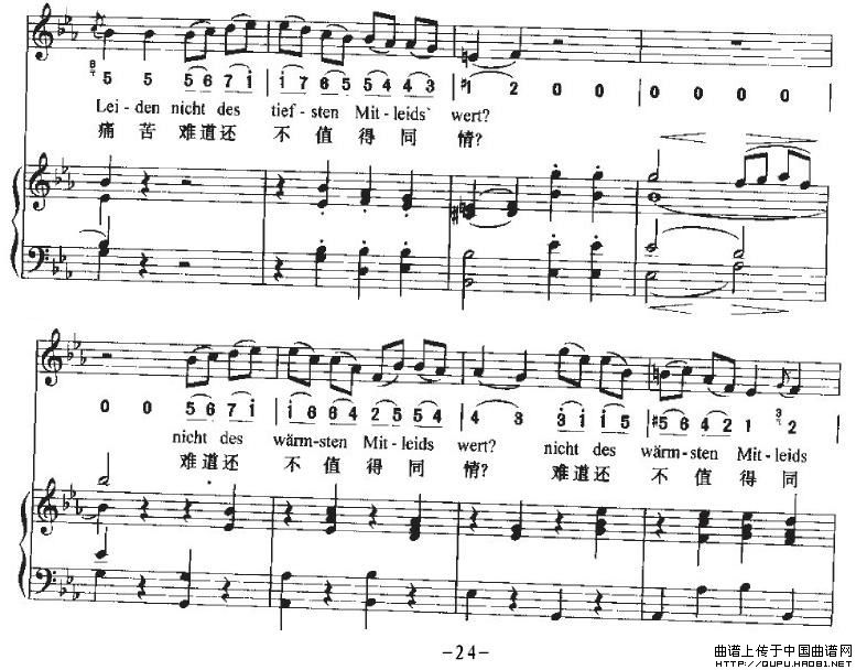 HaTreuloserP24(ʮּ)1