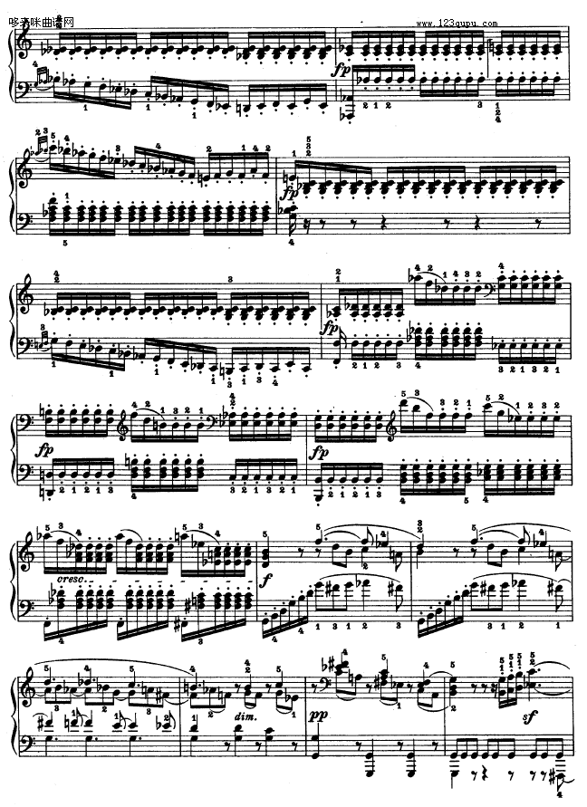ʮ--()12