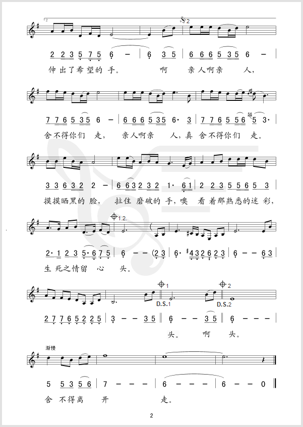 舍不得你们走 歌谱简谱网