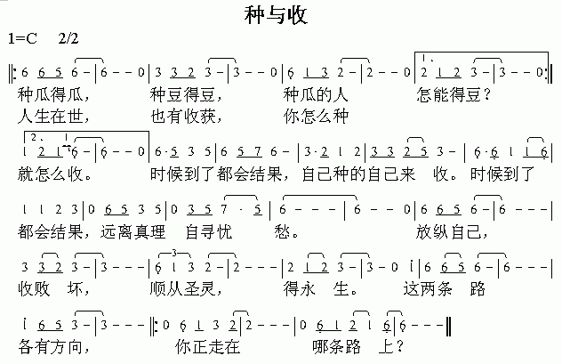 种子简谱_种子简谱汪苏泷(3)