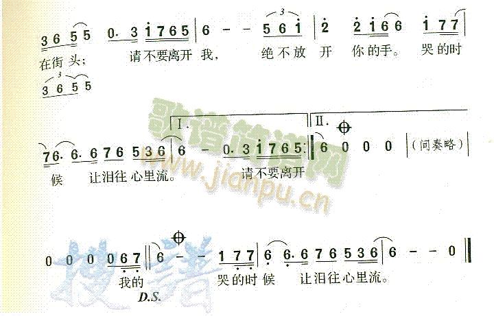 绝不放手 歌谱简谱网
