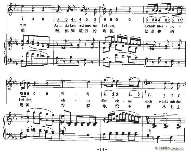 HaTreuloser(ʮּ)14