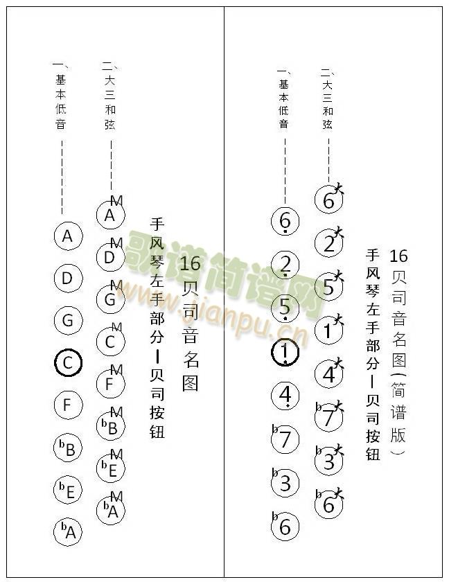 手风琴贝司音名图