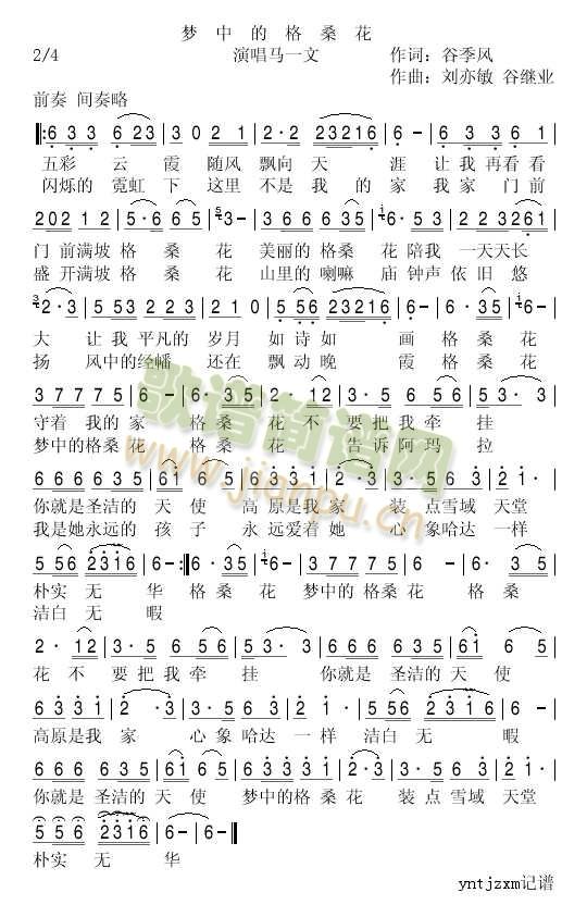 梦中的格桑花