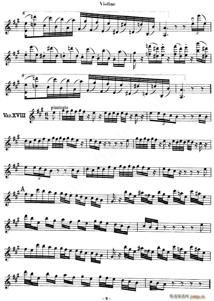 LE CARNAVAL DE VENISE(ʮּ)9