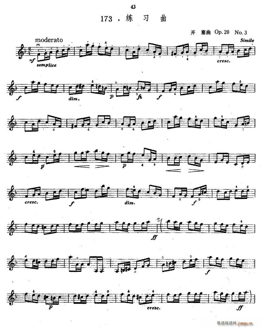 Op20 No3 ϰ (ʮּ)1