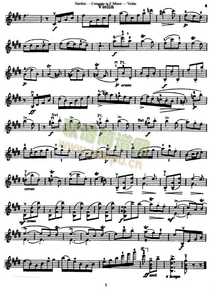 ConcertoinEMinjor(С)5