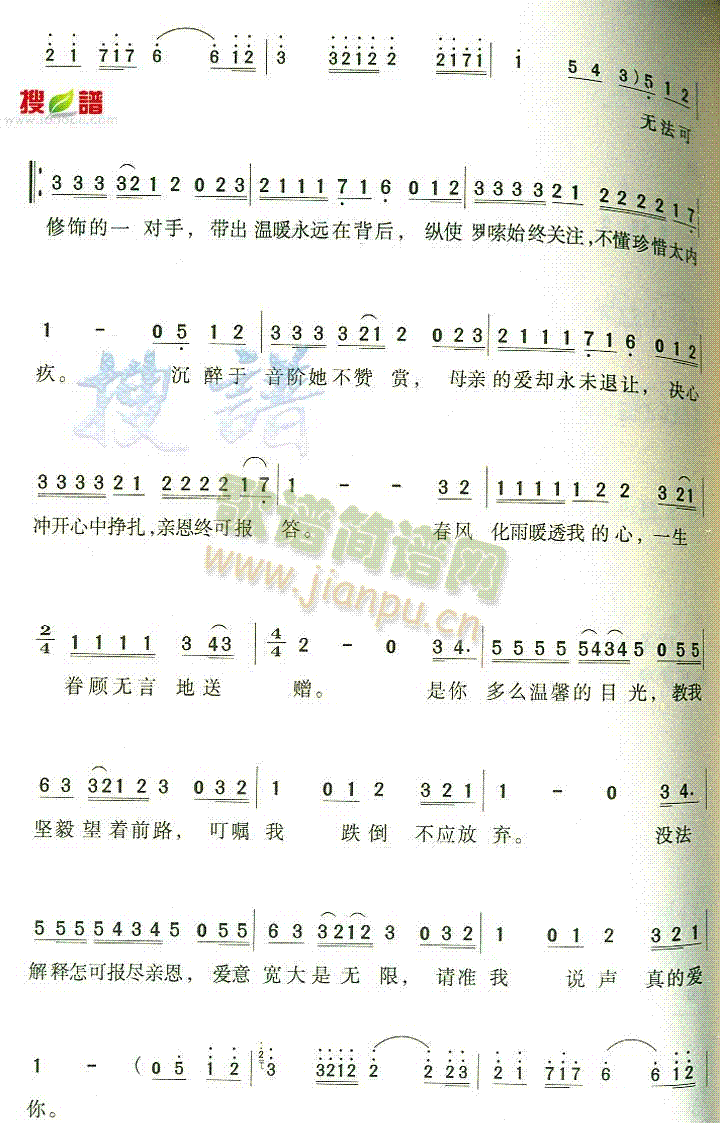 真的爱你 歌谱简谱网