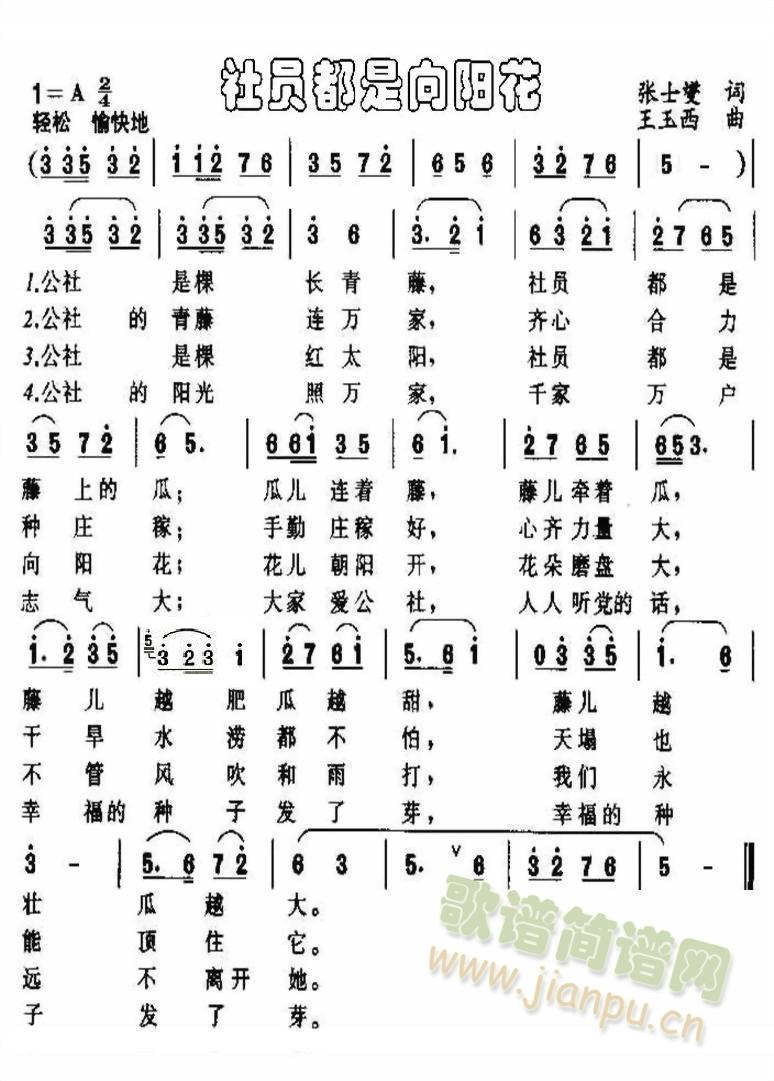 社员都是向阳花