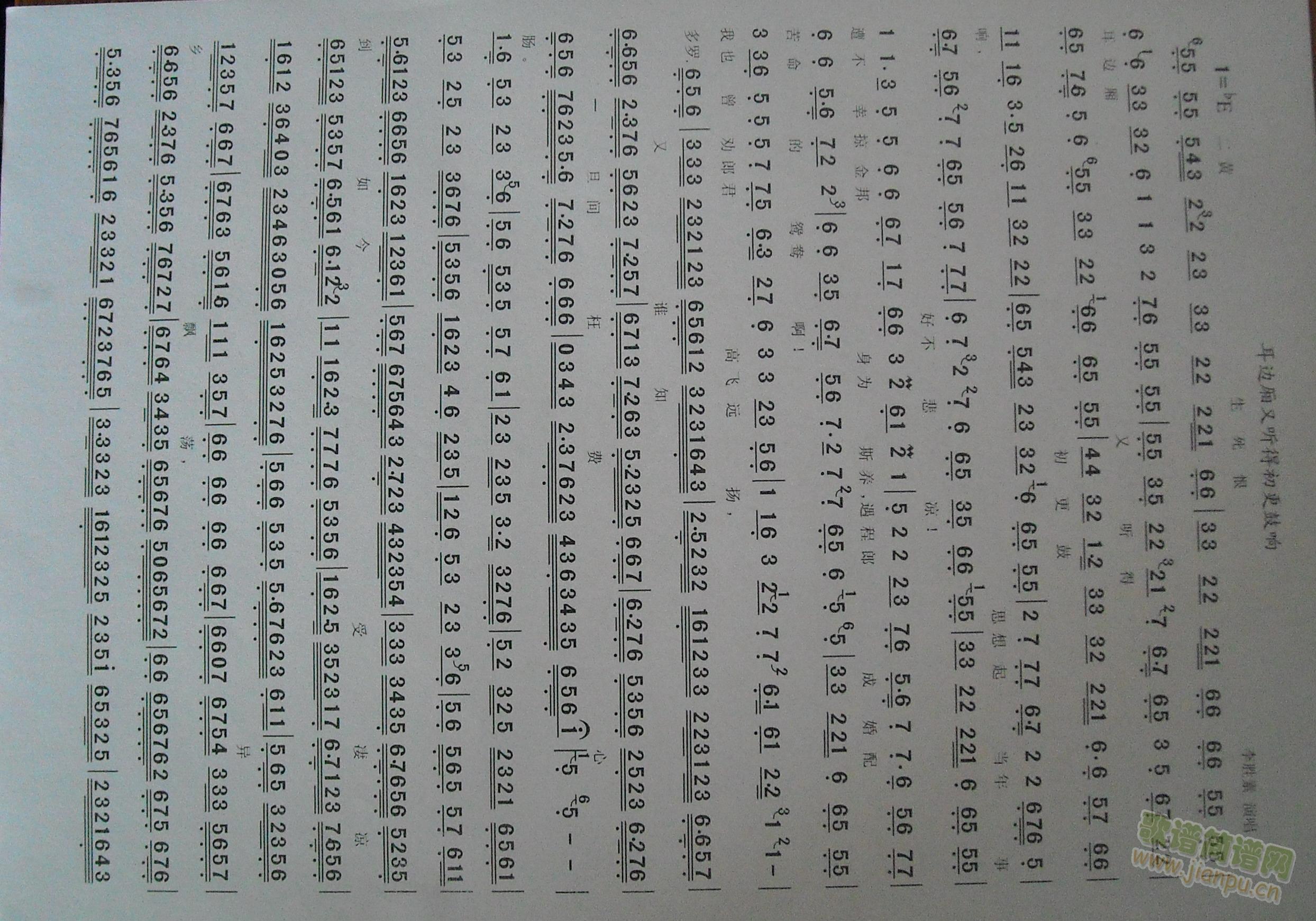 ޶(ָ)1